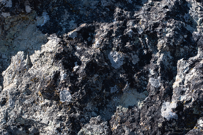 Saddlerock Hike 13 - Riley Studios Photography