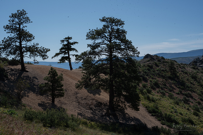 Saddlerock Hike 15 - Riley Studios Photography