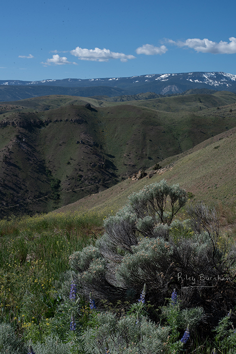 Saddlerock Hike 16 - Riley Studios Photography
