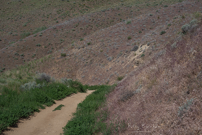 Saddlerock Hike 18 - Riley Studios Photography