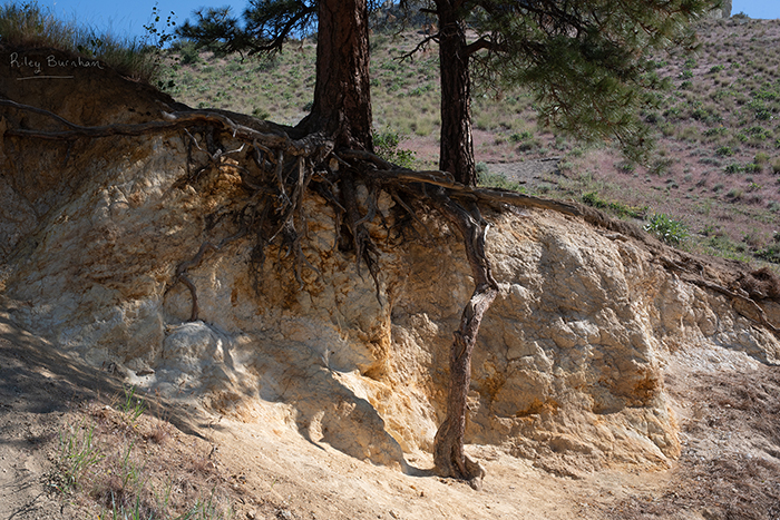 Saddlerock Hike 19 - Riley Studios Photography