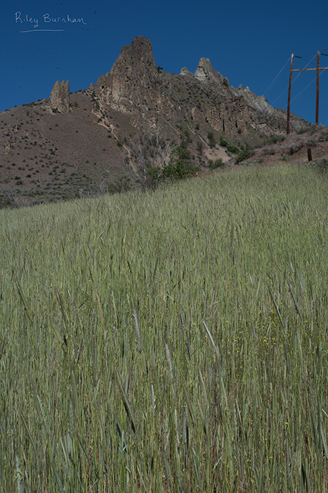 Saddlerock Hike 20 - Riley Studios Photography